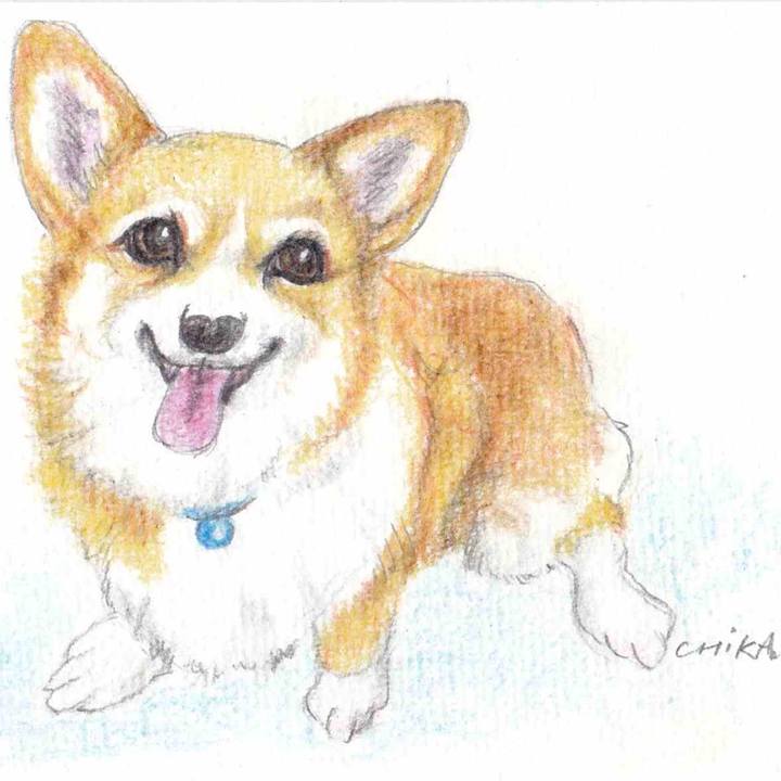 78ad2500 6464 4334 90f1 4676b2ea5dad 1573120738267