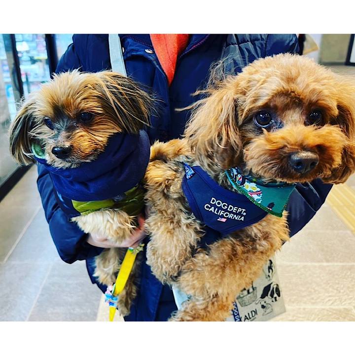 78ad7f29 06c1 45c1 b793 4e926349564b 1671875622547