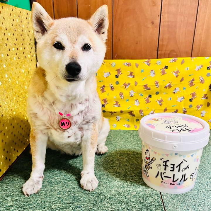 78ad805f 9375 49f2 ae87 26806845c88a 1747734976352