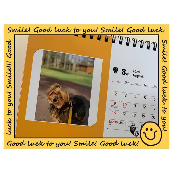 78ad969d ace3 4843 8d56 4a86471a919c 1596233388448