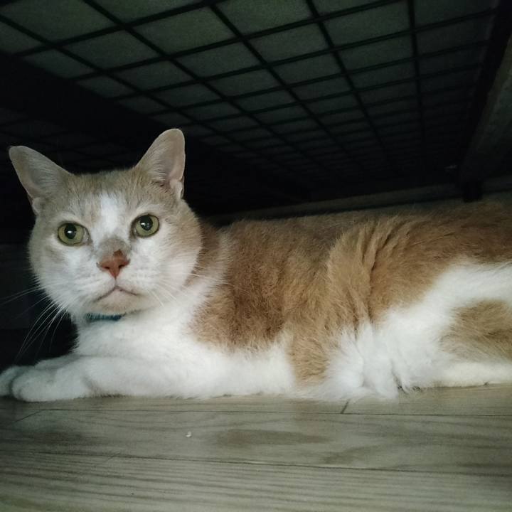 78adb302 095e 451a 9561 d669c357910d 1660260248999