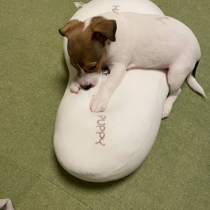 78addf95 e32d 487d 8507 cac4ba5902d9 1666605644198