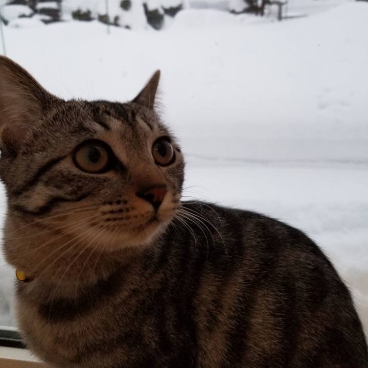 78adee26 6892 4dc3 9628 b7836e6fa882 1675949124719