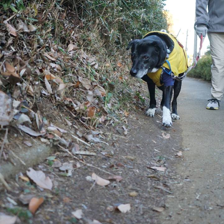 78ae0a8c 53cc 4d12 988a 94c2cbb5f5fe 1767832425357