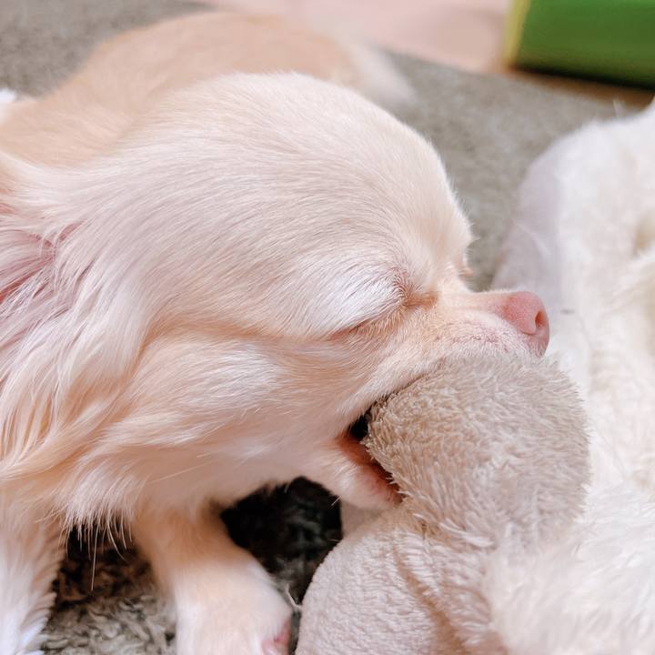 78ae21fb c8b2 4b4c 8de7 22fa79533826 1656156520666