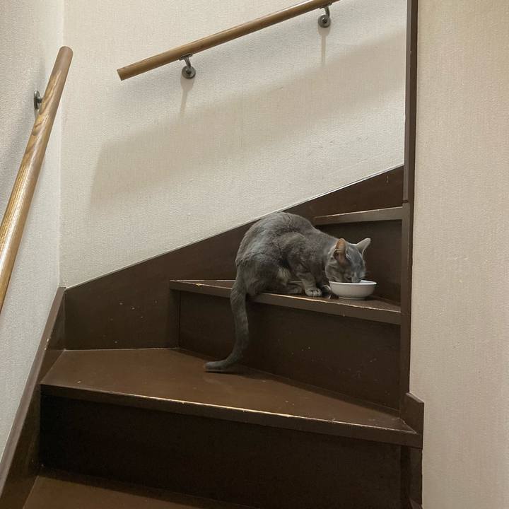 78ae7c93 cf38 4b20 9c7d c148e7c7d88f 1649589769489