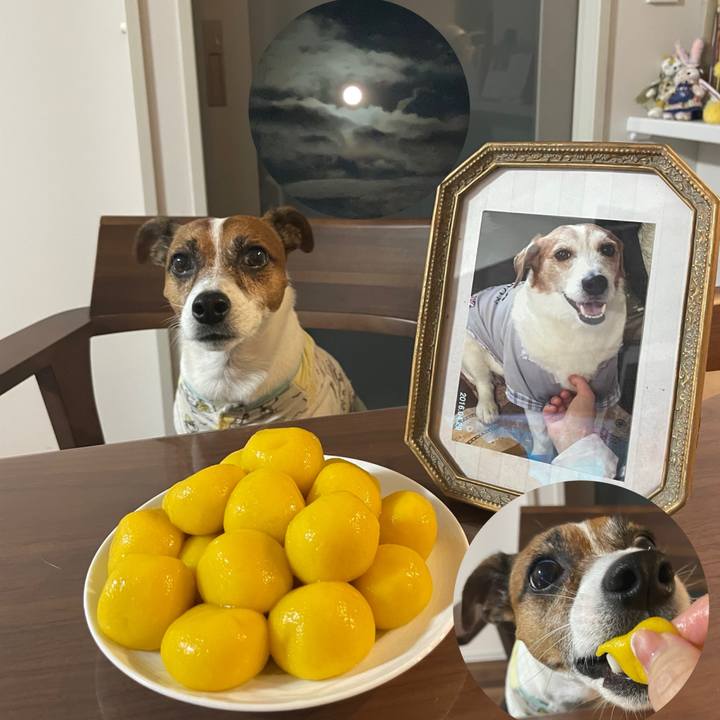 78aed8d5 5c4f 435d a05c 43d63ea103b7 1726568265569