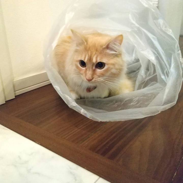 78aef5fa a818 4e1f 9b2c 1db84d6820b2 1646693965051