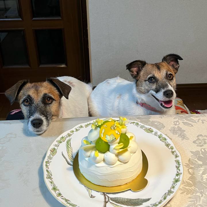 78af5346 cd4f 4bdf af59 0a402f951ca3 1695996038699