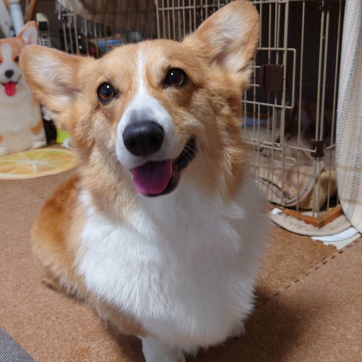 78af7c07 4311 4a07 b259 ad0314ac4336 1776588533887