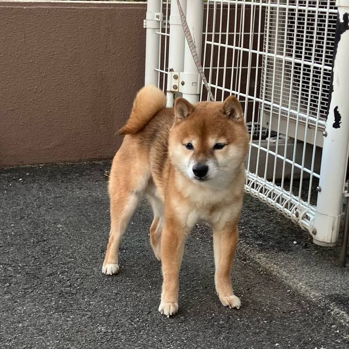 78af88f8 9ef2 4138 a76e 945f69074a2c 1768892918980