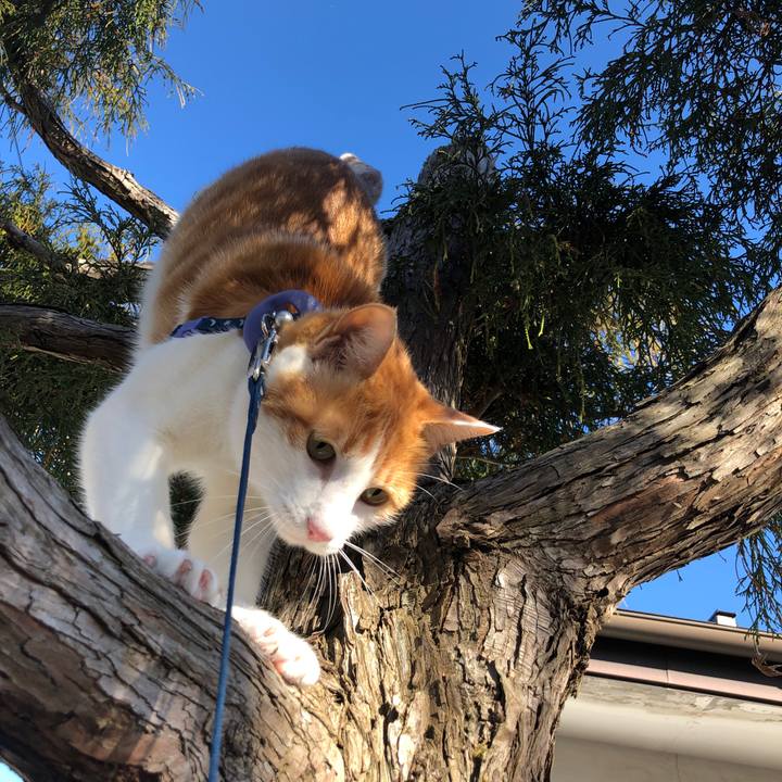 78af90f4 2207 4a39 bd37 13a9c3b313fe 1546131474074