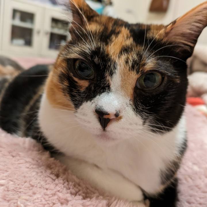 78afa952 3114 444a b4f9 81c3894f09f8 1709700310504