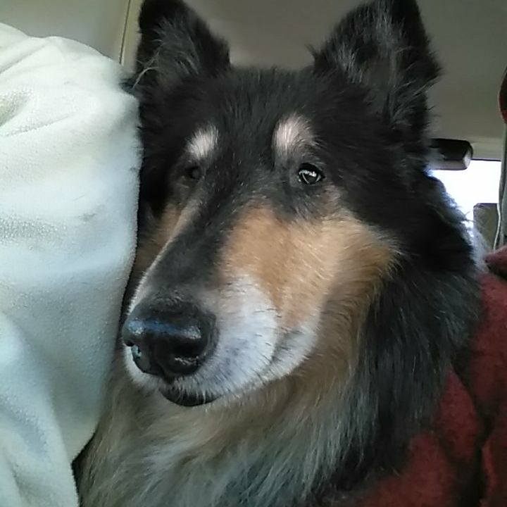 78afe1c5 9ea1 4309 8c6a af2fd7fe3176 1511095275072