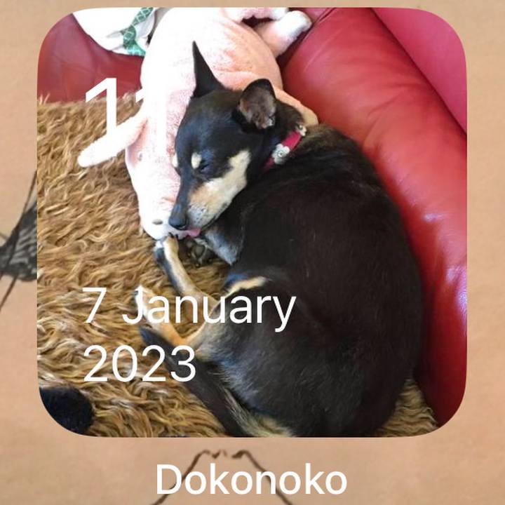 78afe5a5 706b 4ced 9958 4873ce907726 1768094277515