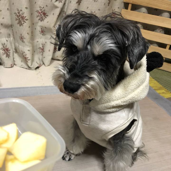 78b00d33 45f3 4cbd b096 5f5353cd64b3 1646824106694