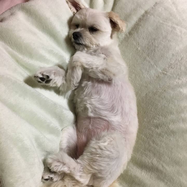 78b051c7 e5fd 44f6 b63d fb14211ac50a 1522147383185