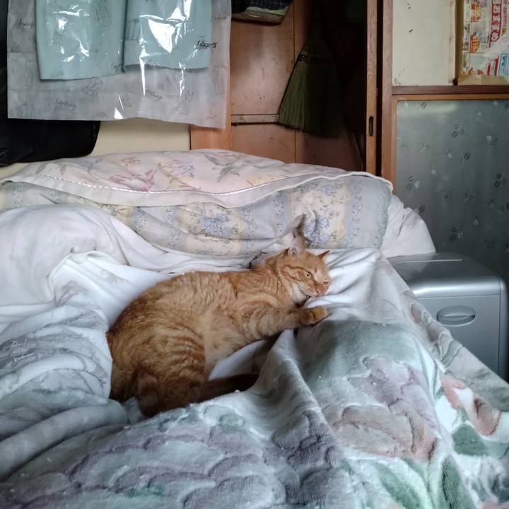 78b06e07 3868 4b03 8112 79d2cea53c7c 1691710574265