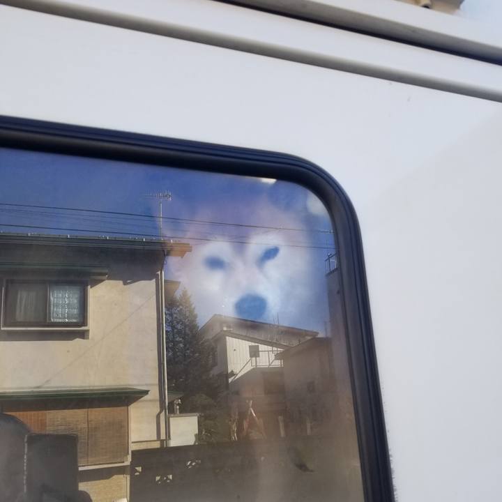 78b075e4 b878 4f72 bfa7 dcf56c3d90ab 1703038006384