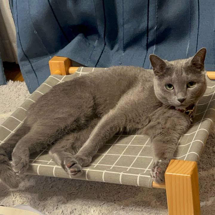 78b091d9 aced 4895 bd79 75c5baea8896 1750643165450