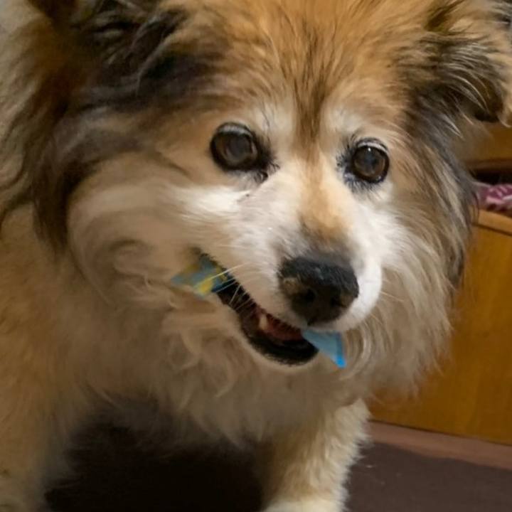 78b0d18e 24a7 425c 91b8 f0e444eec22d 1576028053939