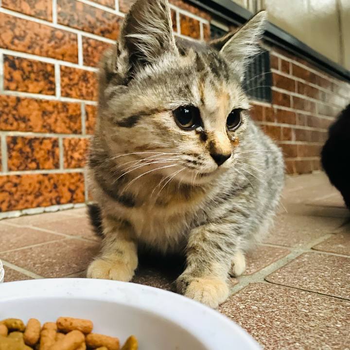 78b0d20d bfdf 4b1d 8062 915ee50e4504 1763934591184