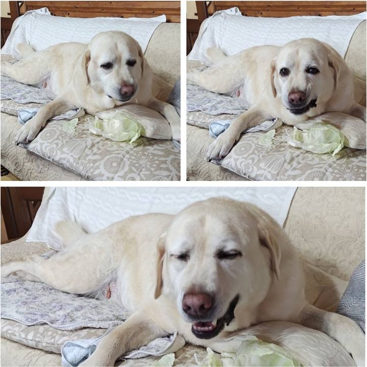 78b11af0 df11 4bb0 9ee6 bcc80ca7cd15 1754220285078