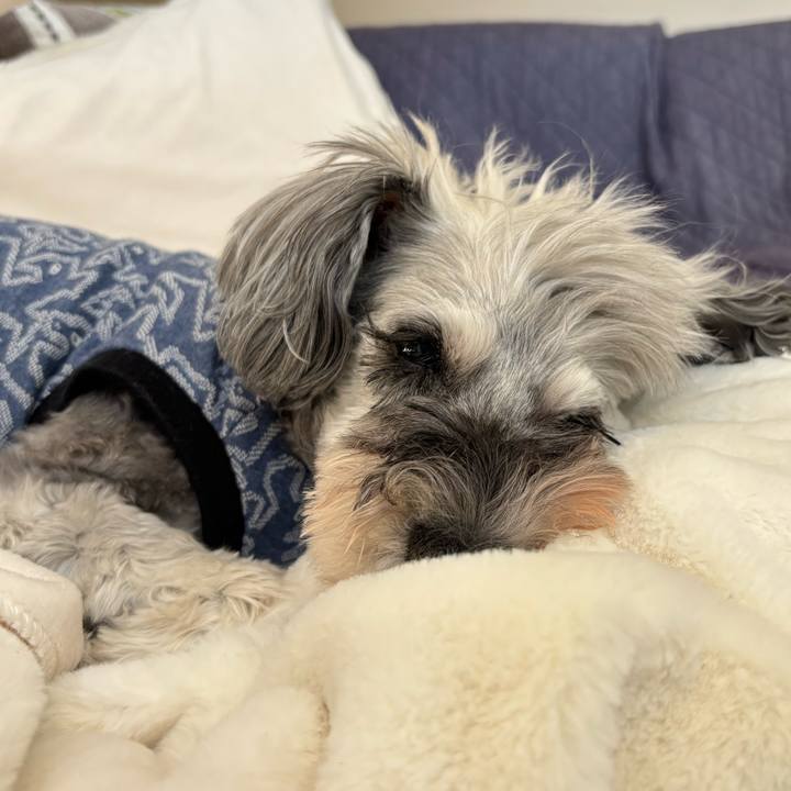 78b16217 5f13 4999 9dc8 a9a3366821ad 1762488066278