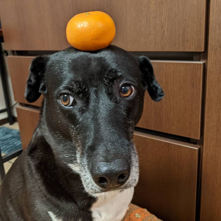 78b175dd c120 4e7a ad92 d2965429a169 1700046293117