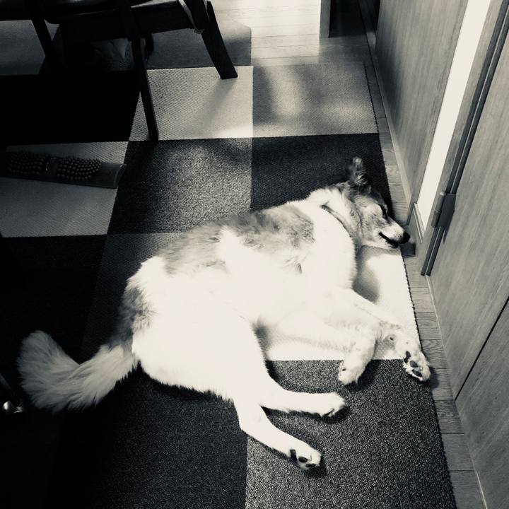 78b1a41a 5cd9 4dc3 b178 34f585534fec 1536791948990