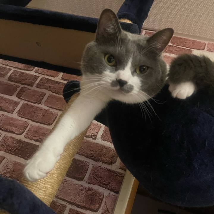 78b1c8d7 2654 4f8f ac2b e4709218829e 1729527048607