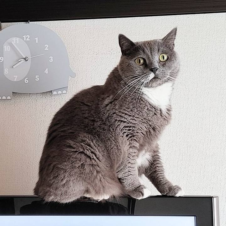 78b1cd30 3f8e 4fbb a420 6b39a0dd13d6 1696909864633