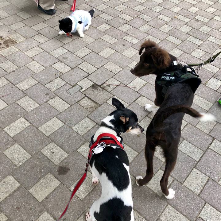 78b1cea6 b67d 42a5 a90e de52a22c29b1 1561780301692