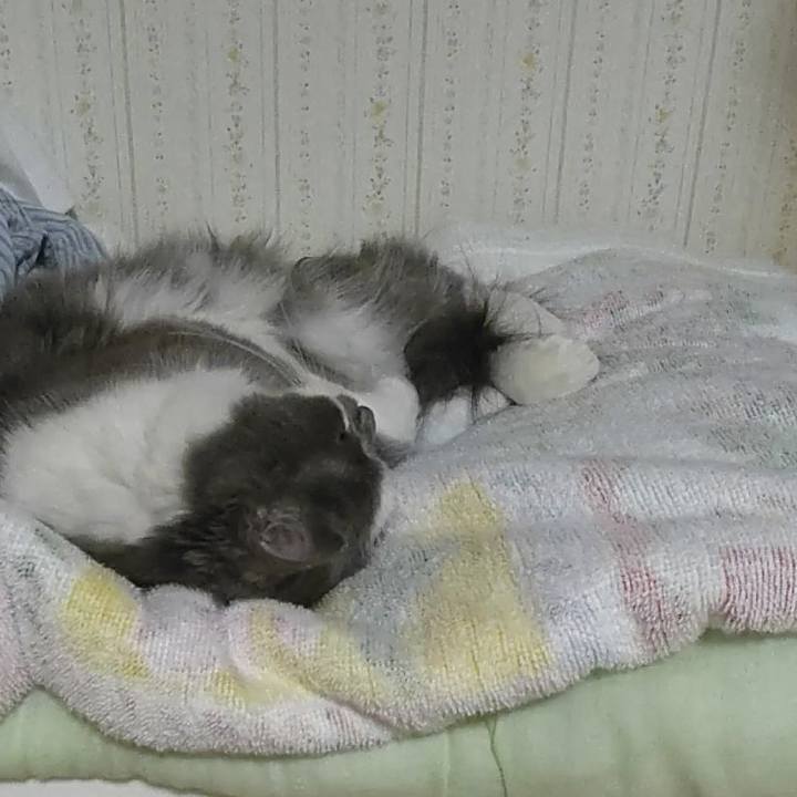 78b1e7f3 c592 4beb 8163 07d499dba6d6 1571998888704