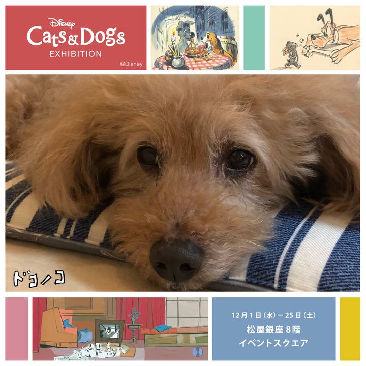 78b1f7d9 3e5f 466b a115 363c3209e86b 1638341345818