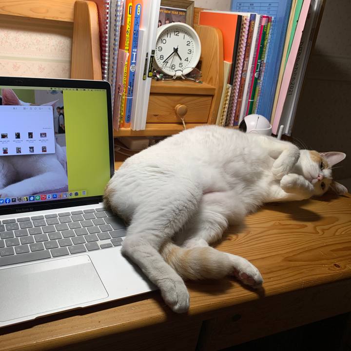 78b28f9c 2f0b 479c 8448 12bc138e4d28 1658086643439