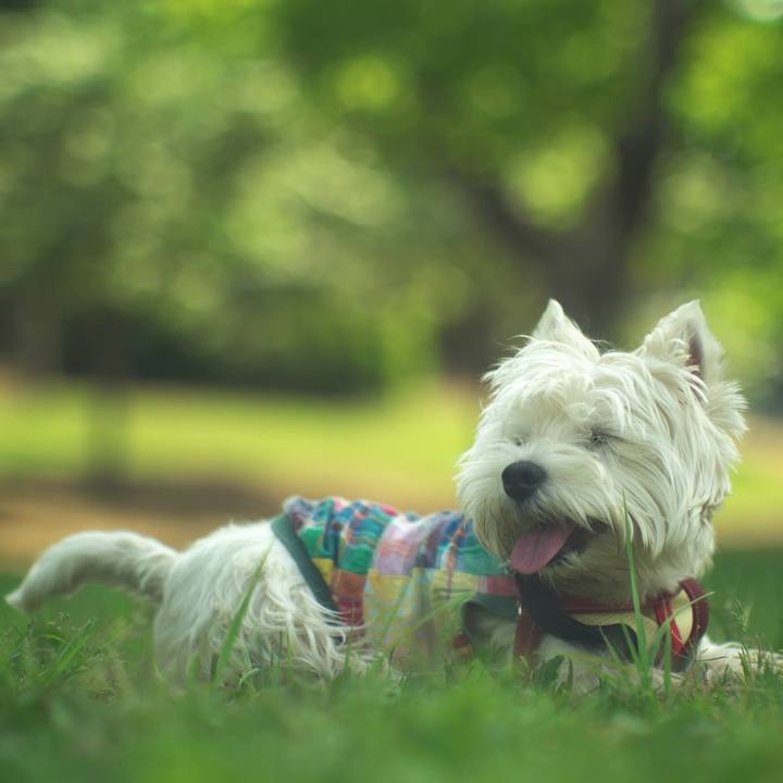 78b2c260 f220 4f38 9450 60e19871a07e 1526901924201