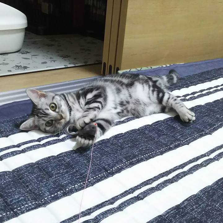 78b2d038 0756 4adc 9230 603dcf416fec 1537708833517