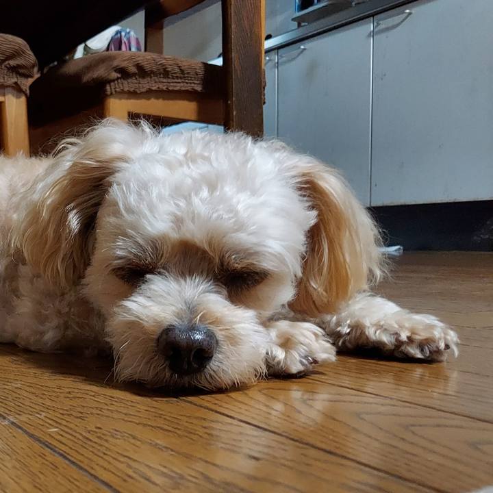 78b2ff25 2e4e 4aee a943 89593aa3ec27 1632380579613