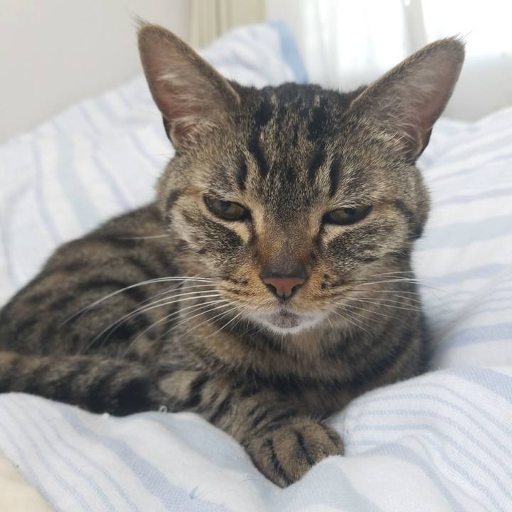 78b31c37 35cb 42be 8a02 a36183e1900d 1592256459075