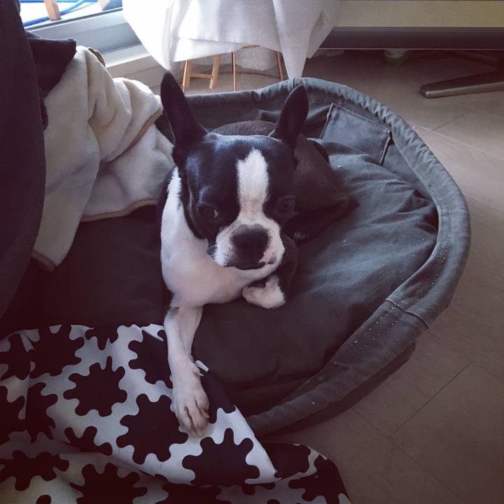 78b32aa3 77c4 4707 ad4a 2926c9d824fa 1535949048187