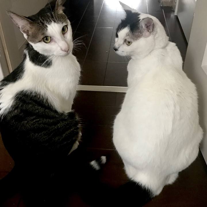 78b358f1 2949 49db 8b7e dcca9314ce03 1529761949581