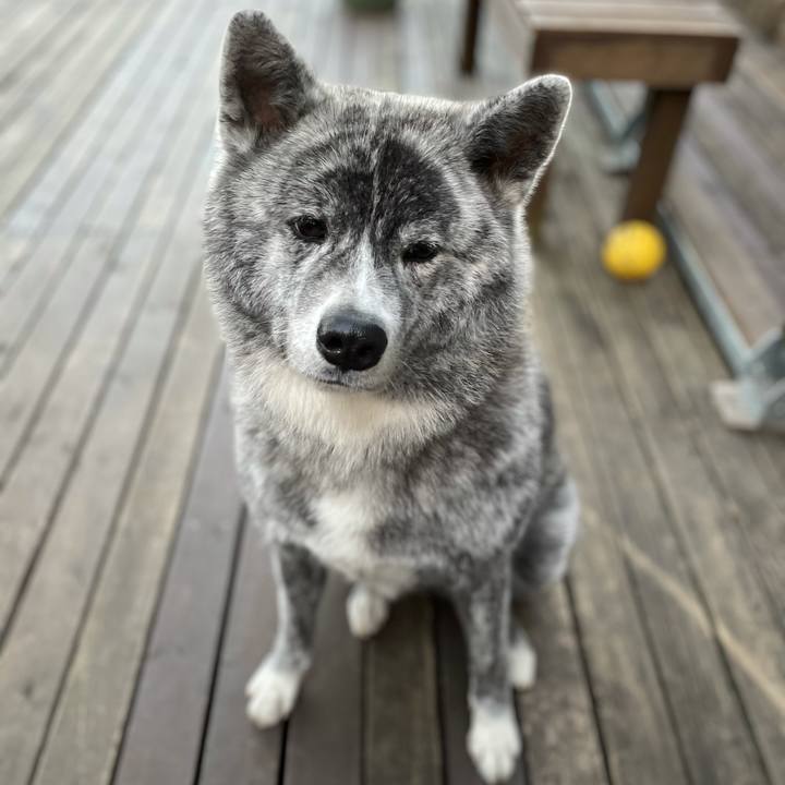 78b39747 173c 413f b9e1 47c06708cc6c 1605303139054