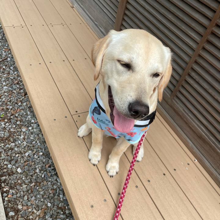 78b3a98c 2d10 4790 bb21 7a47359fefc3 1622176955345