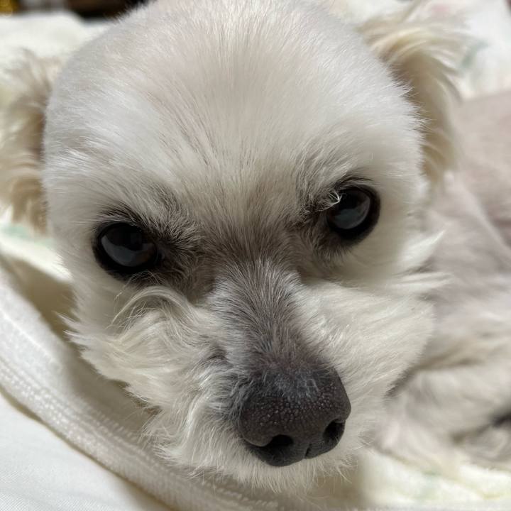 78b3abdb 0cb1 4ae5 8279 1fa7c0ab8a89 1651061656217