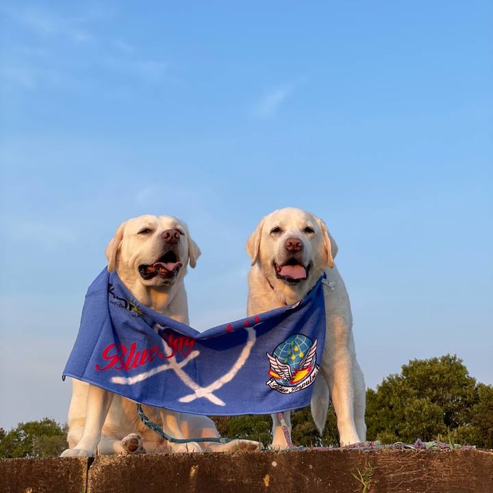 78b3c069 a5a7 4e03 9248 392b8f8f5c54 1764222751978