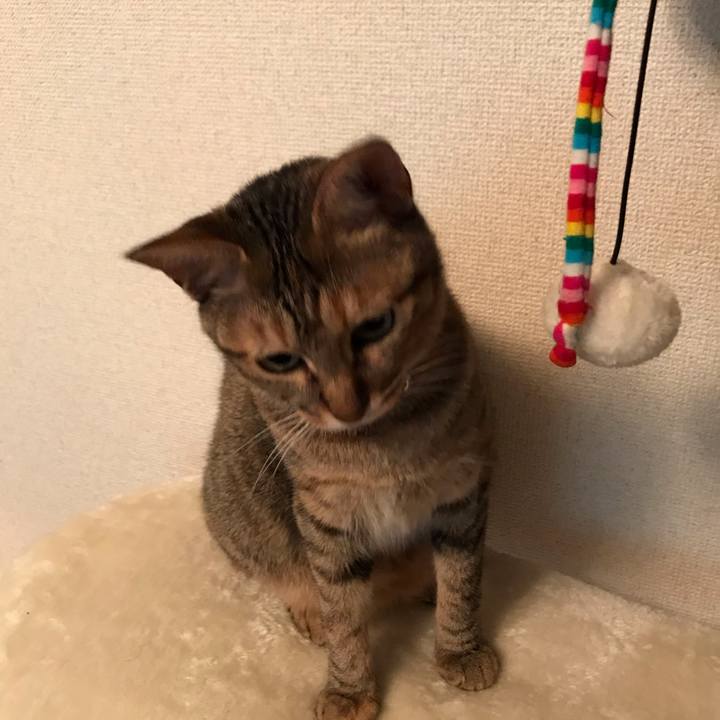 78b3f976 0223 46ab 8c79 307cd8db8050 1592529735334