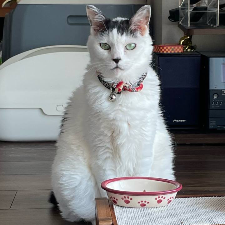 78b3f9a0 8c42 4561 888d 5299a5677ca9 1751702838801