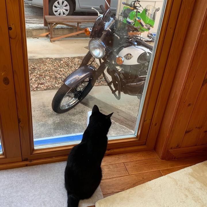 78b43f46 2715 41ea 80d8 c00cf0cb37c2 1664668734504