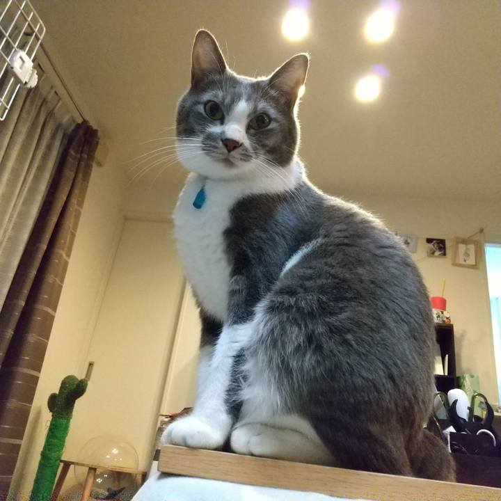 78b46673 151e 4a10 8c9a c8a7a5fd622a 1638360492706